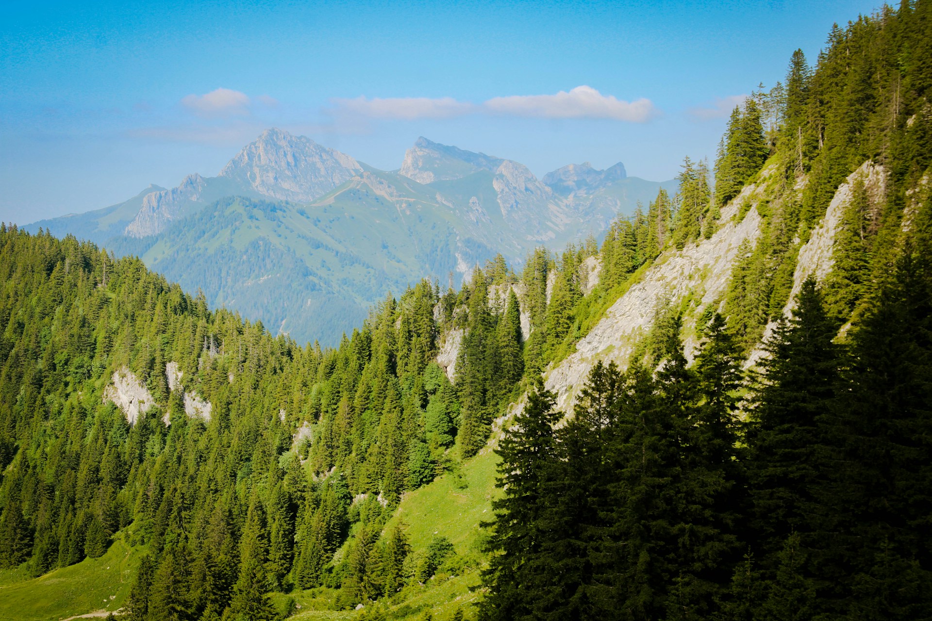Auvergne-Rhône-Alpes