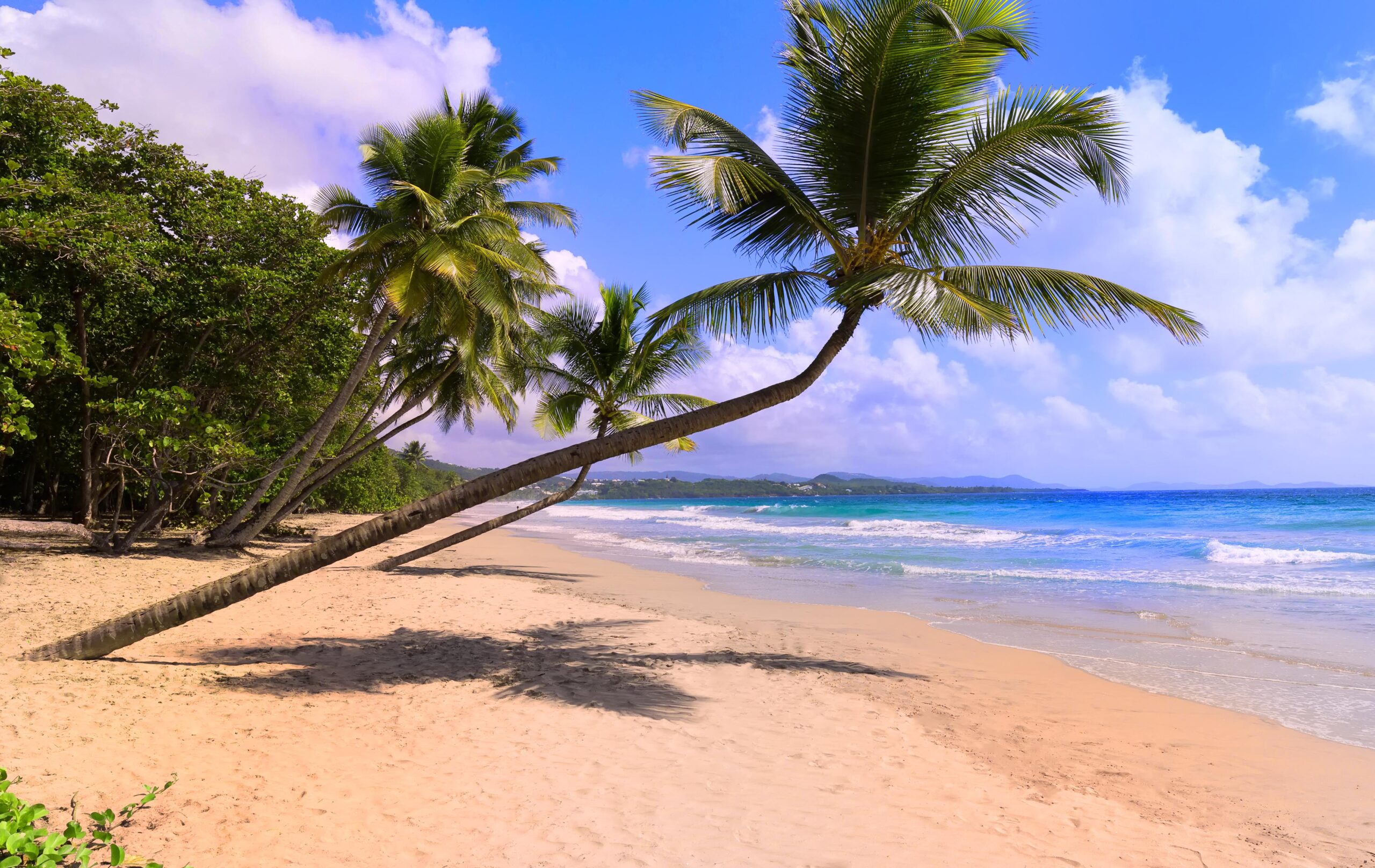 plage martiniquaises